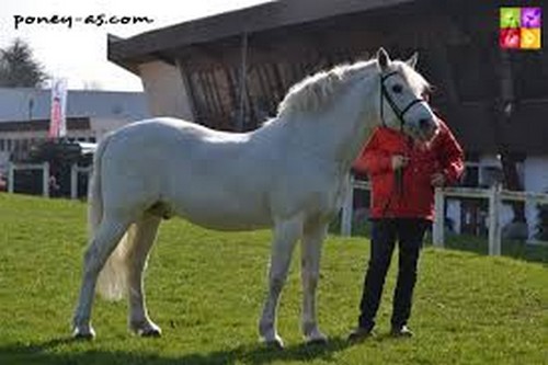 DONJUAN2