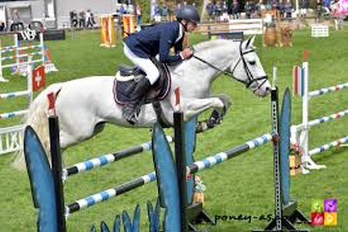 RUYBLAS4