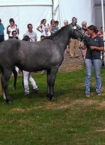 ADELLA1